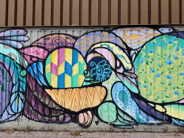 Summer ACFO Collaboration  street art mural photo 2