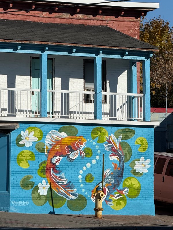 Vertical shot of the 2025 Chinatown Koi mural by Emilie Darlington, showcasing the intersection of traditional symbolism and modern Ottawa street art. Part of the OTTAWALLS living archive, documenting the evolution of Somerset Street West’s urban landscape.