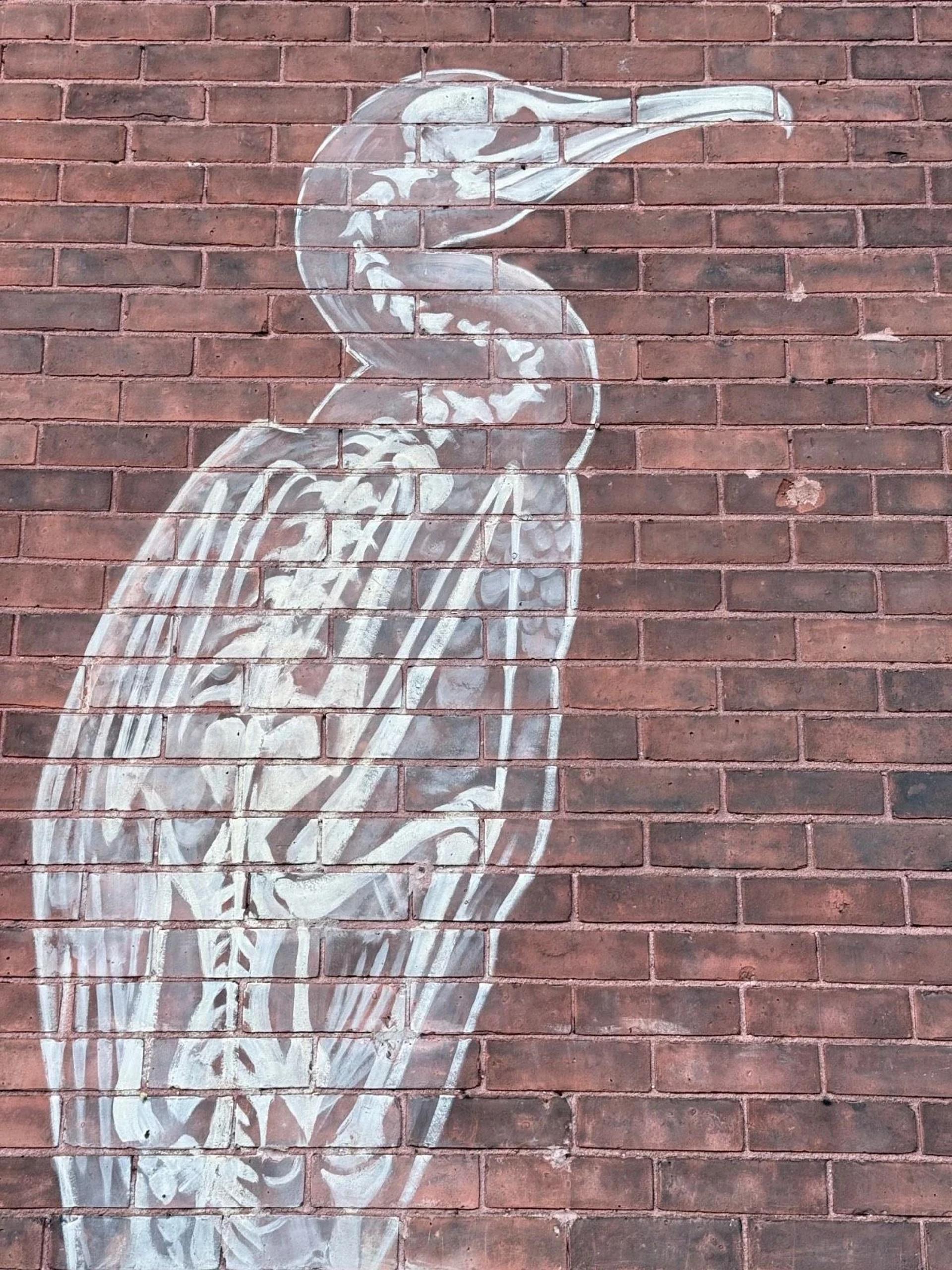 Natural History by Pascale Arpin - Street art mural in Centretown West, Ottawa, Ontario