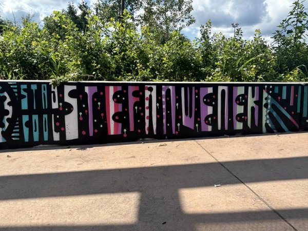 Stefan Wenek Skate Park by Style Over Status - Street art mural in Orléans Industrial, Ottawa, Ontario