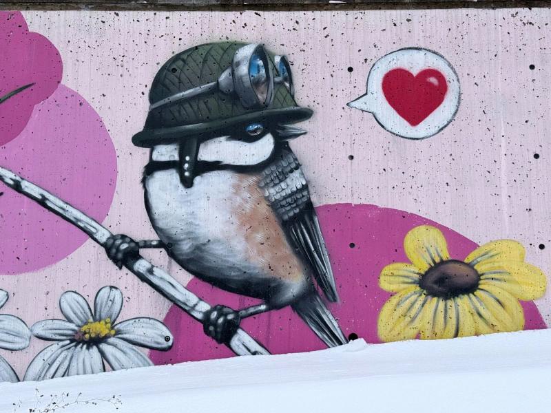 Street art mural in Downtown Ottawa, by Daniel Martelock from his Bird Army series, showing two house sparrows in military helmets perched on a branch.
