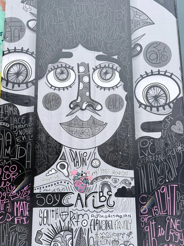 Soy Caribe by Visualgzas - Mural in Centretown, Ontario at Arlington 5