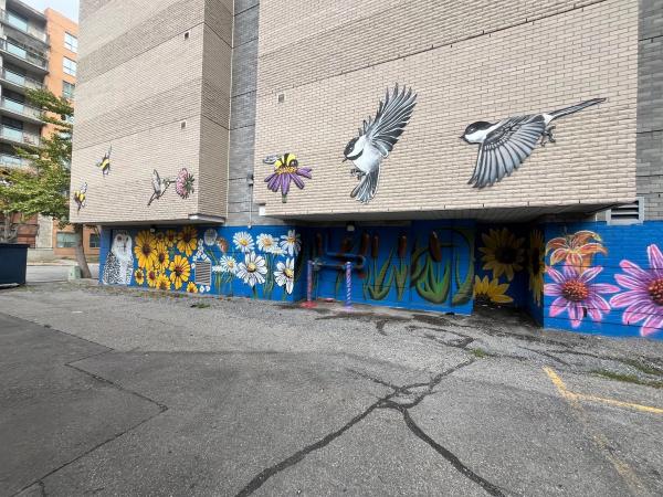 Urban Street Art Ottawa: Large blue and white floral design and birds mural in Centretown. Found on the OTTAWALLS Mural Map.