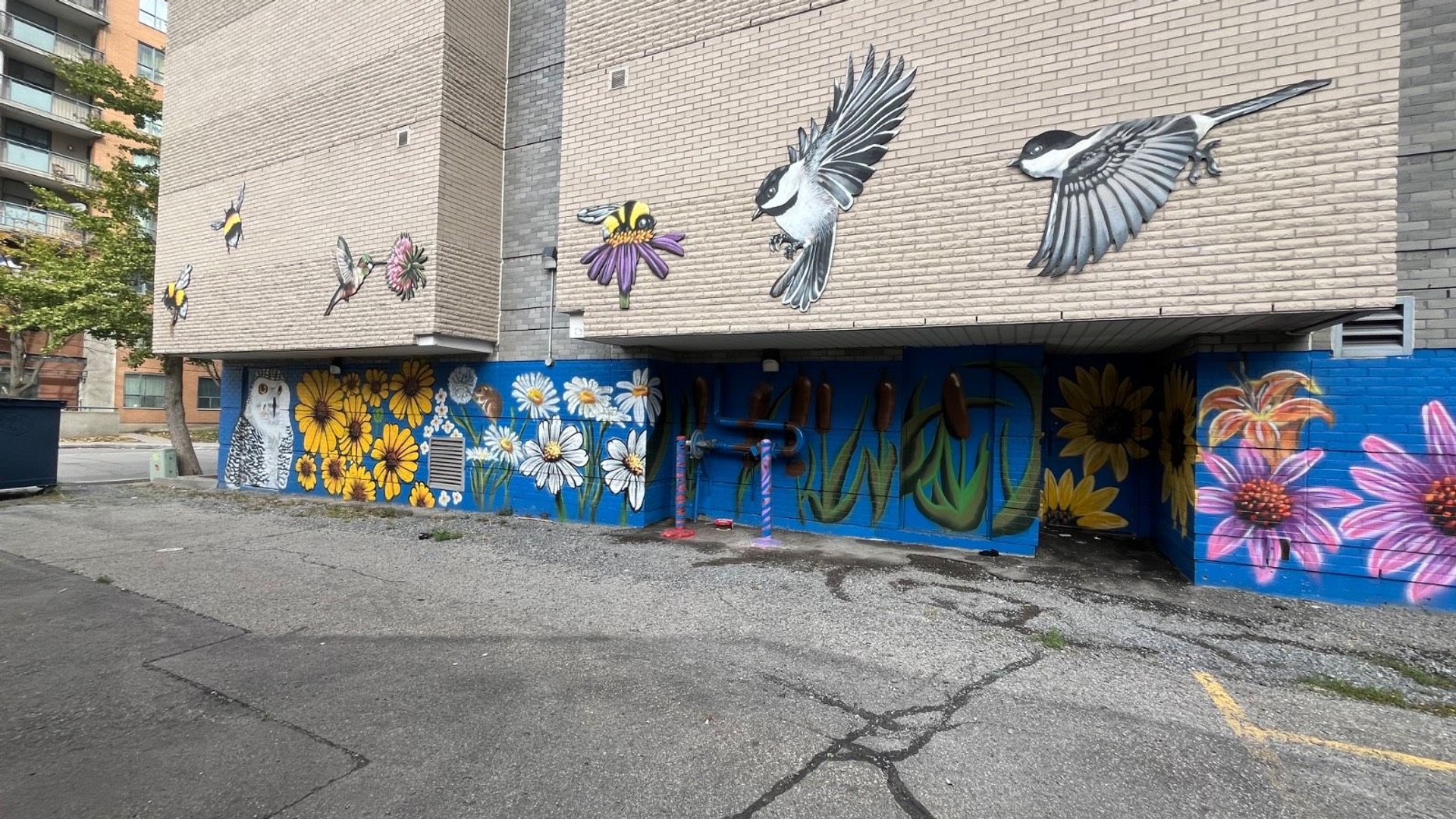 Urban Street Art Ottawa: Large blue and white floral design and birds mural in Centretown. Found on the OTTAWALLS Mural Map.