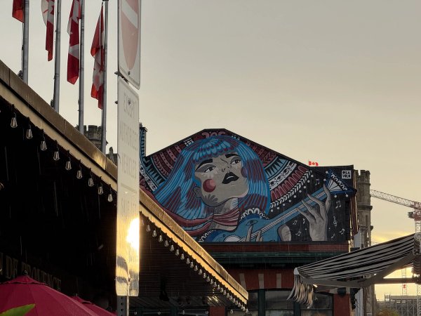 Close-up of Ola Volo's vibrant Urban Art Ottawa mural: "The Musician" with symbols and patterns. Urban Art Index.