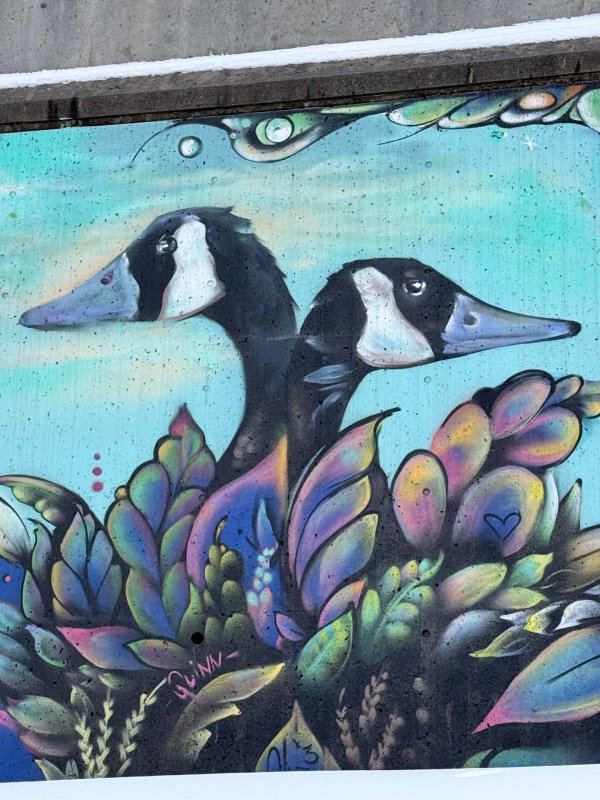 Mural artwork by Mique Michelle - Street art in Byward Market, Ottawa, Ontario