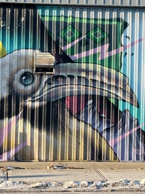 Untitled by Bruno Smoky - Mural in Chinatown, Ontario