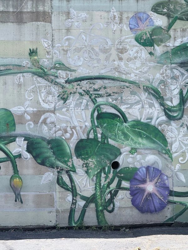 Mural artwork by Rene-Pierre Beaudry (ARPi) - Street art in Hintonburg, Ottawa, Ontario