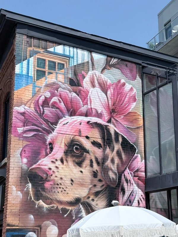 Bank Street Dog Mural by Dom Laporte - Street art mural in The Glebe, Ottawa, Ontario