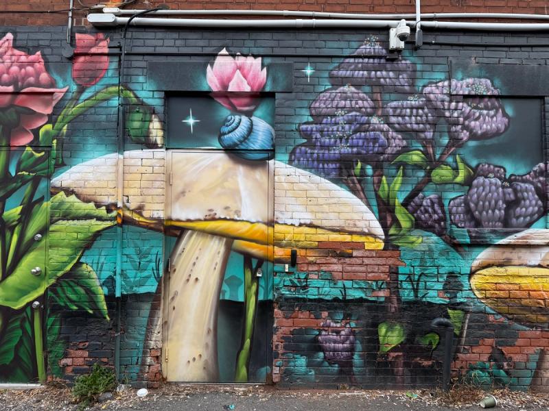 Mural in The Glebe, Ottawa, featuring a magical garden scene with realistic mushrooms and tulips.