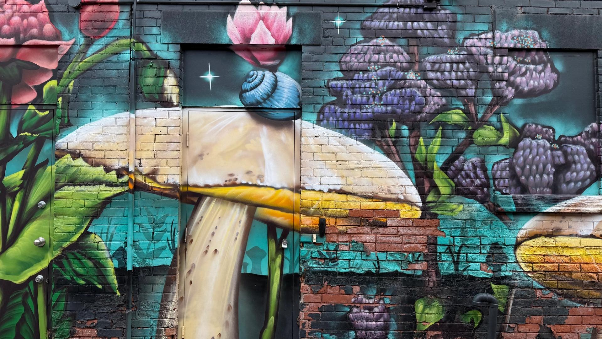 Mural in The Glebe, Ottawa, featuring a magical garden scene with realistic mushrooms and tulips.