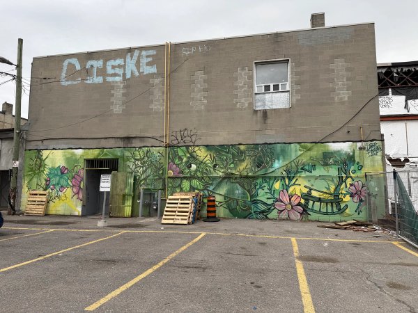 Planet Botanix street art mural photo 1