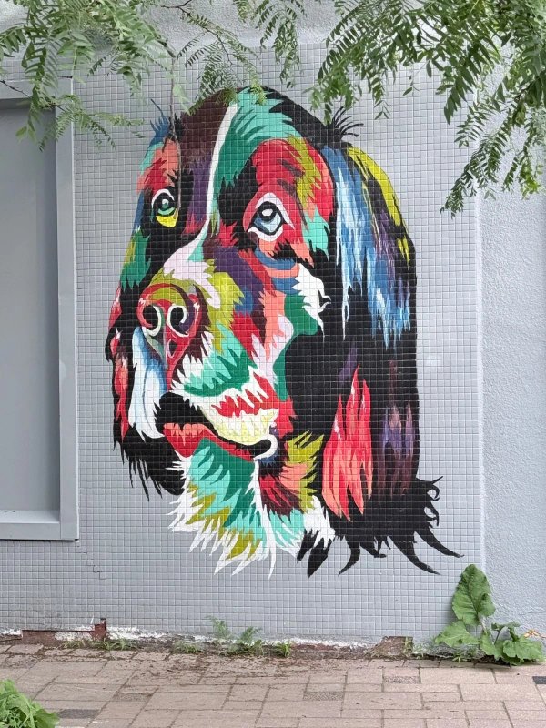 Mural artwork by Hakan - Street art in Chinatown, Ottawa, Ontario