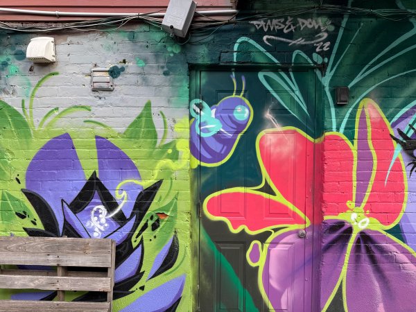 Inconnu street art mural photo 2