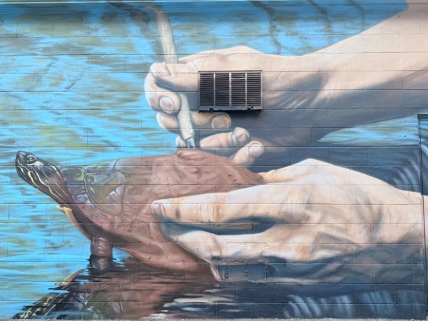 Mural artwork by Martin Freundorfer - Street art in Hintonburg, Ottawa, Ontario