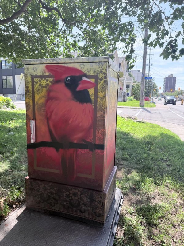 Mural artwork by Daniel Martelock - Street art in Hintonburg, Ottawa, Ontario