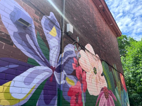 Mural artwork by Emilie Darlington - Street art in Centretown, Ottawa, Ontario