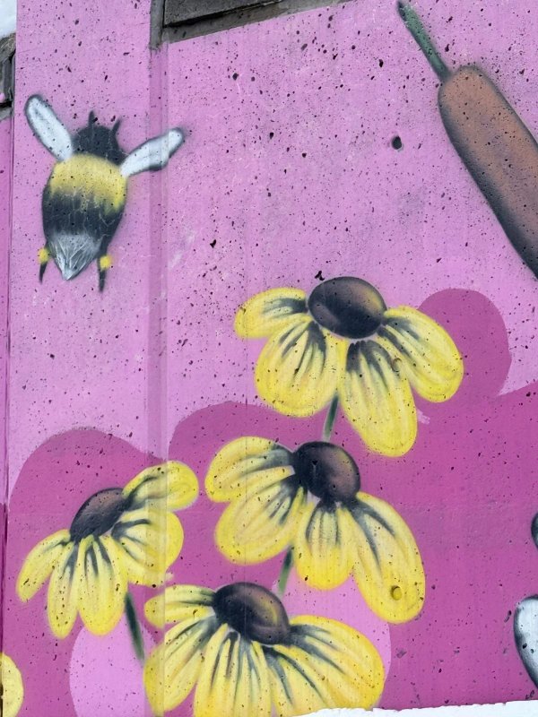 Mural artwork by Daniel Martelock - Street art in Byward Market, Ottawa, Ontario