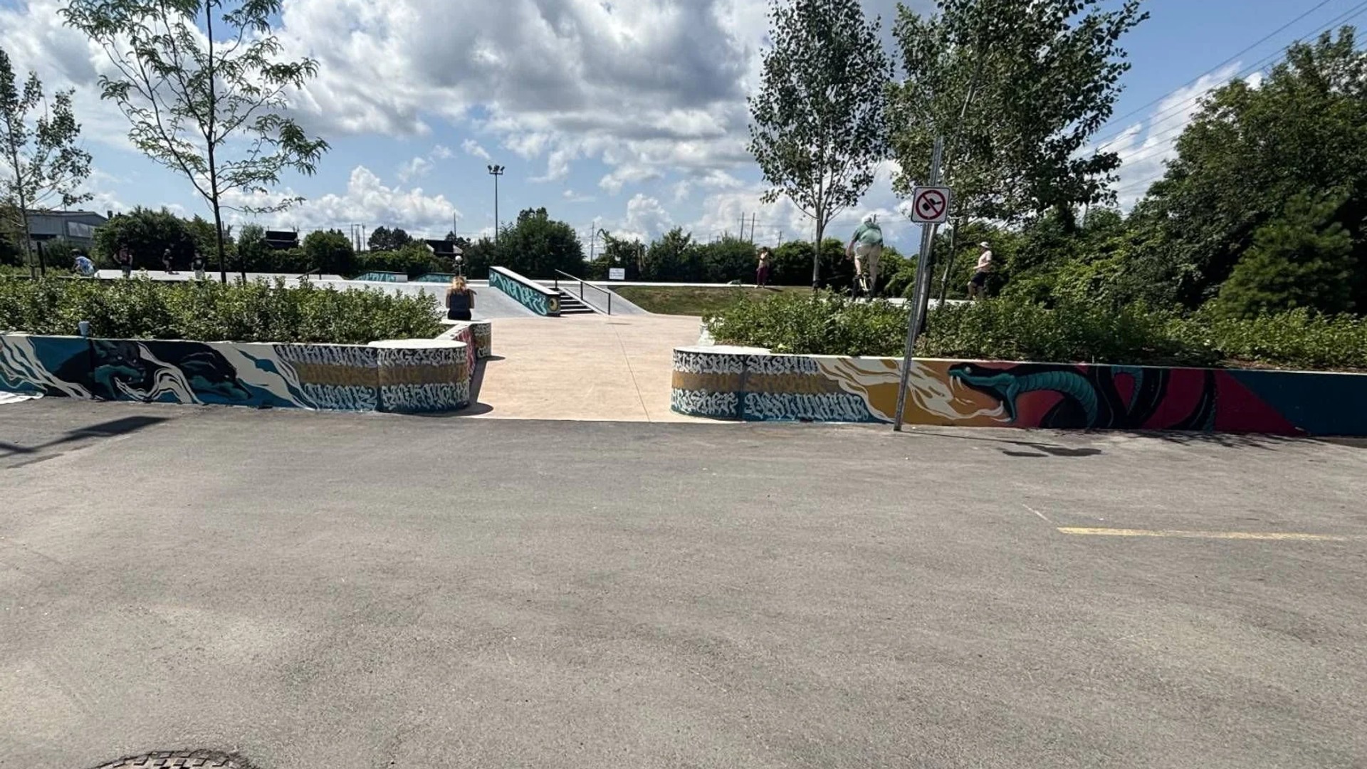 Stefan Wenek Skate Park by Style Over Status - Street art mural in Orléans Industrial, Ottawa, Ontario