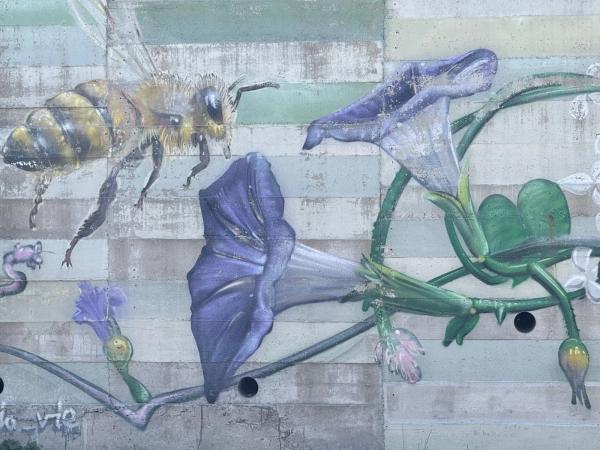 Mural artwork by Rene-Pierre Beaudry (ARPi) - Street art in Hintonburg, Ottawa, Ontario
