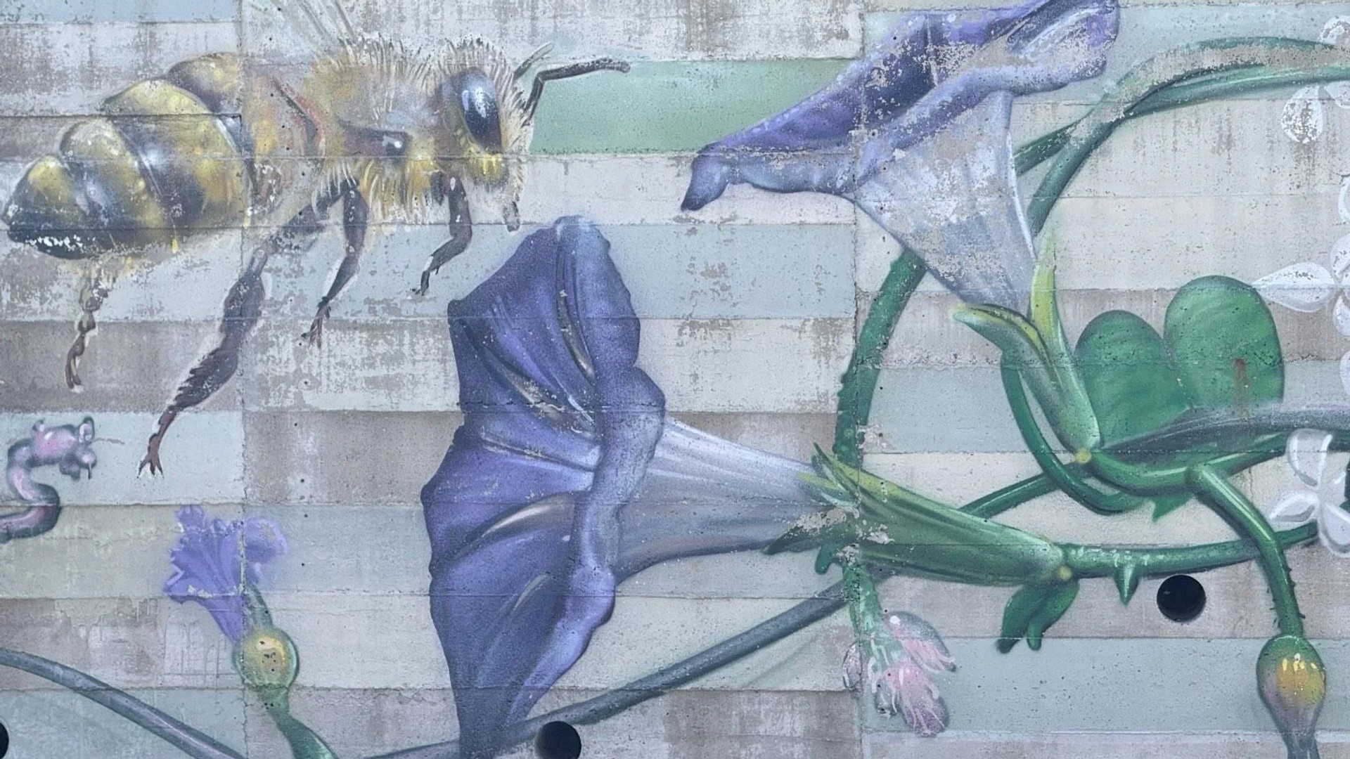 Mural artwork by Rene-Pierre Beaudry (ARPi) - Street art in Hintonburg, Ottawa, Ontario