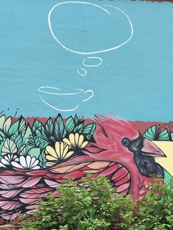 Street art mural in Old Ottawa East, Ottawa - Urban art photography