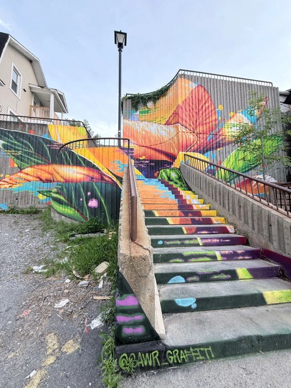 Mural artwork by Marin Mitrasinovic - Street art in Hull, Ottawa, Ontario