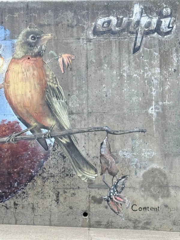 Mural artwork by Rene-Pierre Beaudry (ARPi) - Street art in Hintonburg, Ottawa, Ontario