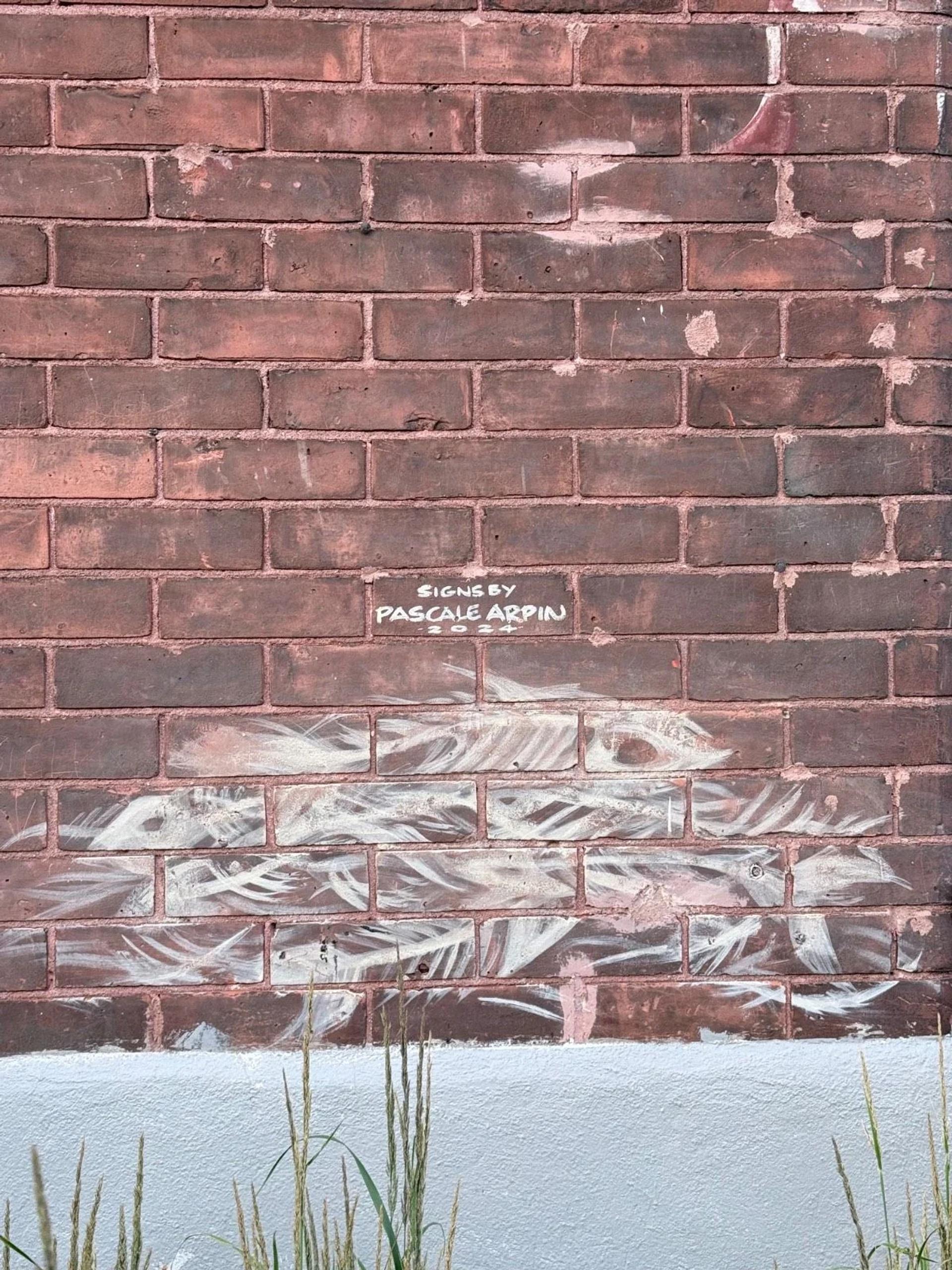 Natural History by Pascale Arpin - Street art mural in Centretown West, Ottawa, Ontario