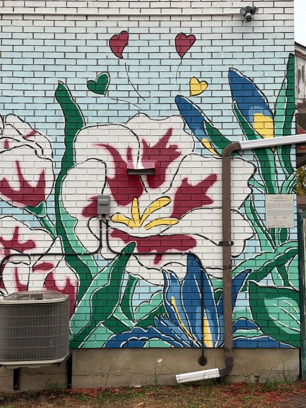 Illunaata street art mural photo 2