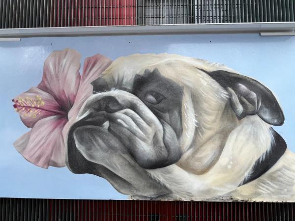 Street art mural in Hintonburg, Ottawa - Urban art photography