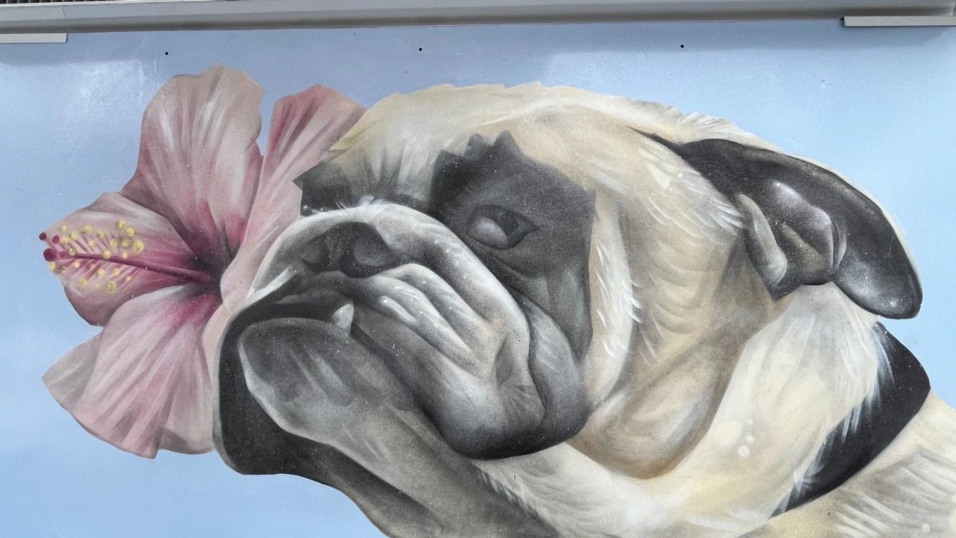Street art mural in Hintonburg, Ottawa - Urban art photography