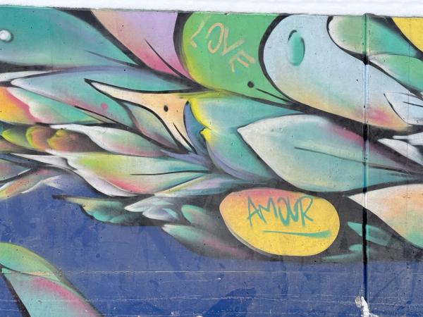 Mural artwork by Mique Michelle - Street art in Byward Market, Ottawa, Ontario