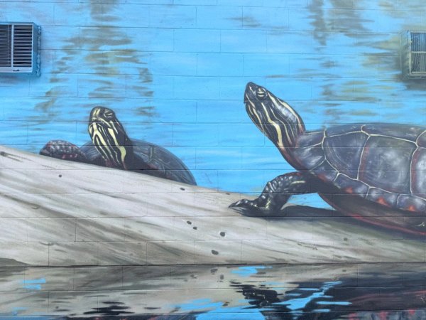 Mural artwork by Martin Freundorfer - Street art in Hintonburg, Ottawa, Ontario