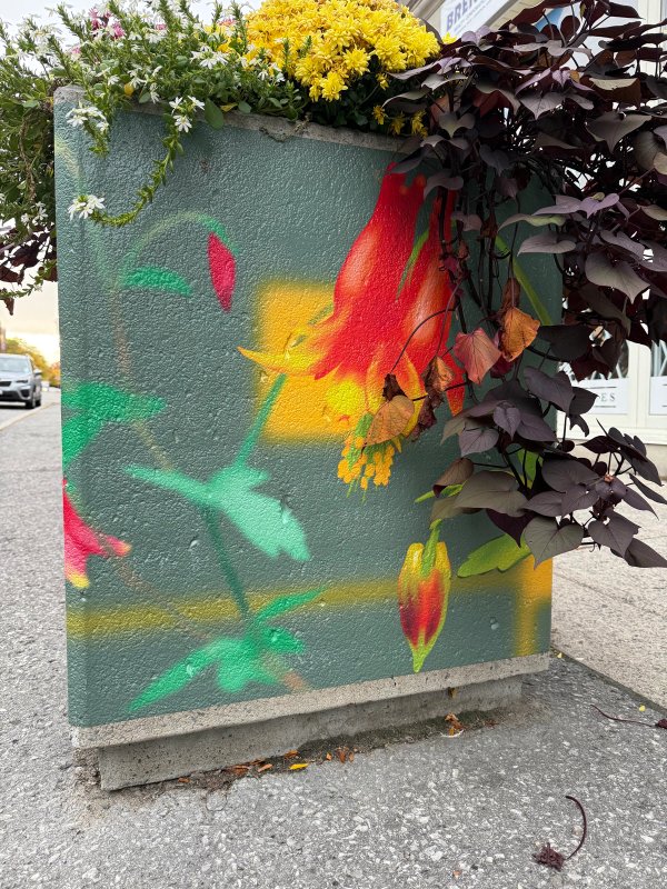 Lowertown Flower Boxes street art mural photo 4