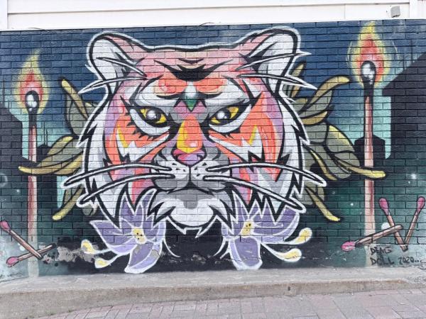 Mural artwork by Dems & Doll - Street art in Hull, Ottawa, Ontario