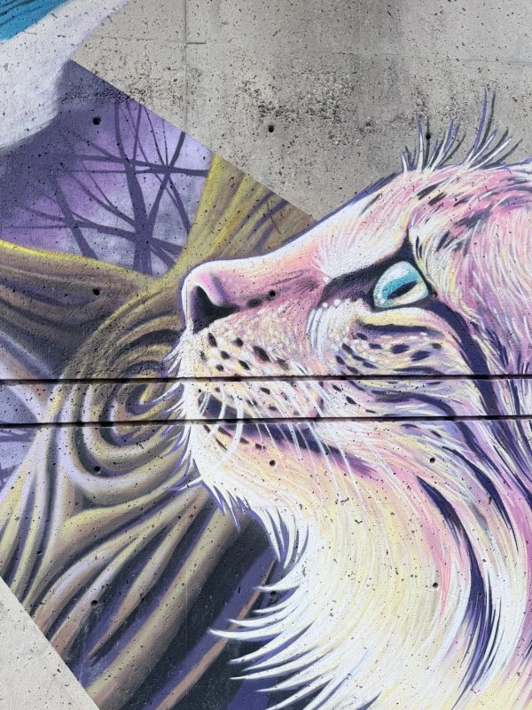 Animosités by Marie-Rosa Szychowska - Street art mural in Hull, Ottawa, Ontario