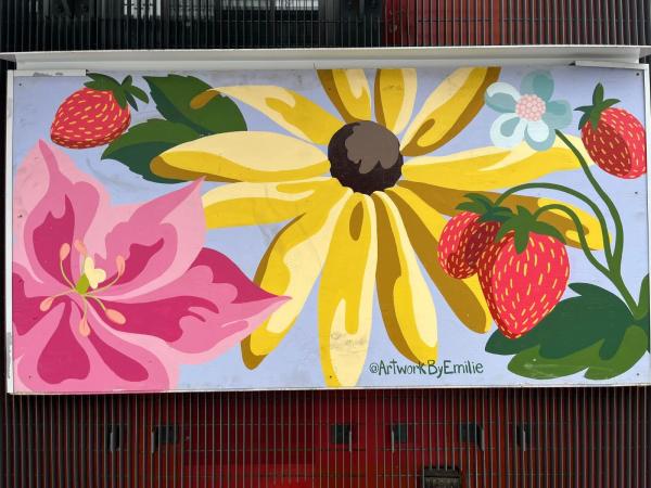 Mural artwork by Emilie Darlington - Street art in Hintonburg, Ottawa, Ontario