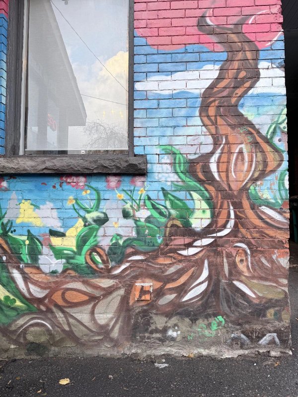 Untitled Submission by Unknown - Mural in Centretown, Ontario