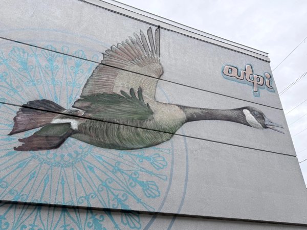 Untitled by Arpi - Mural in Hintonburg, Ontario