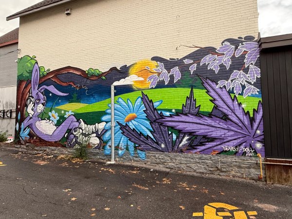 Inconnu street art mural photo 1