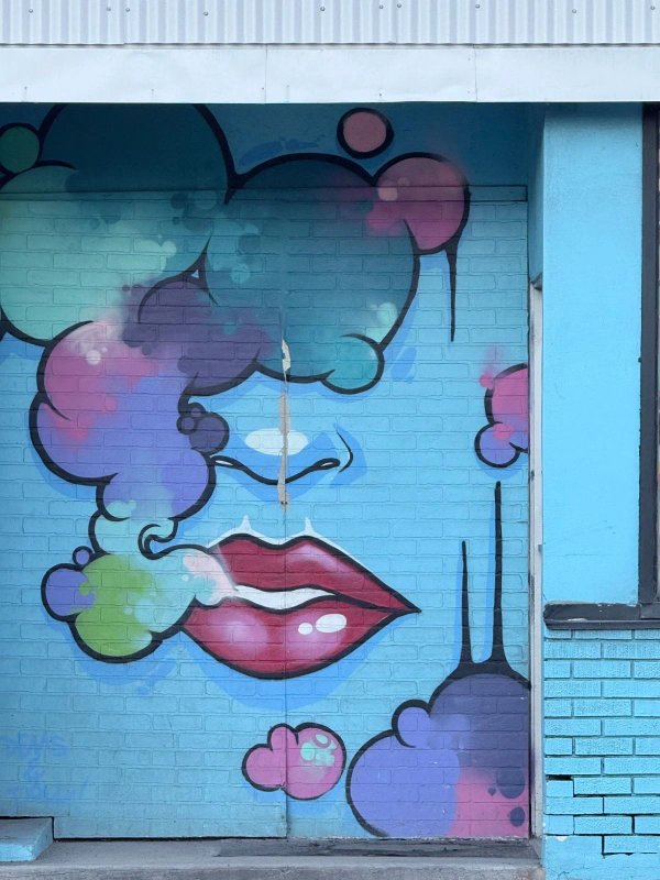 Mural artwork by Dems & Doll - Street art in Centretown West, Ottawa, Ontario