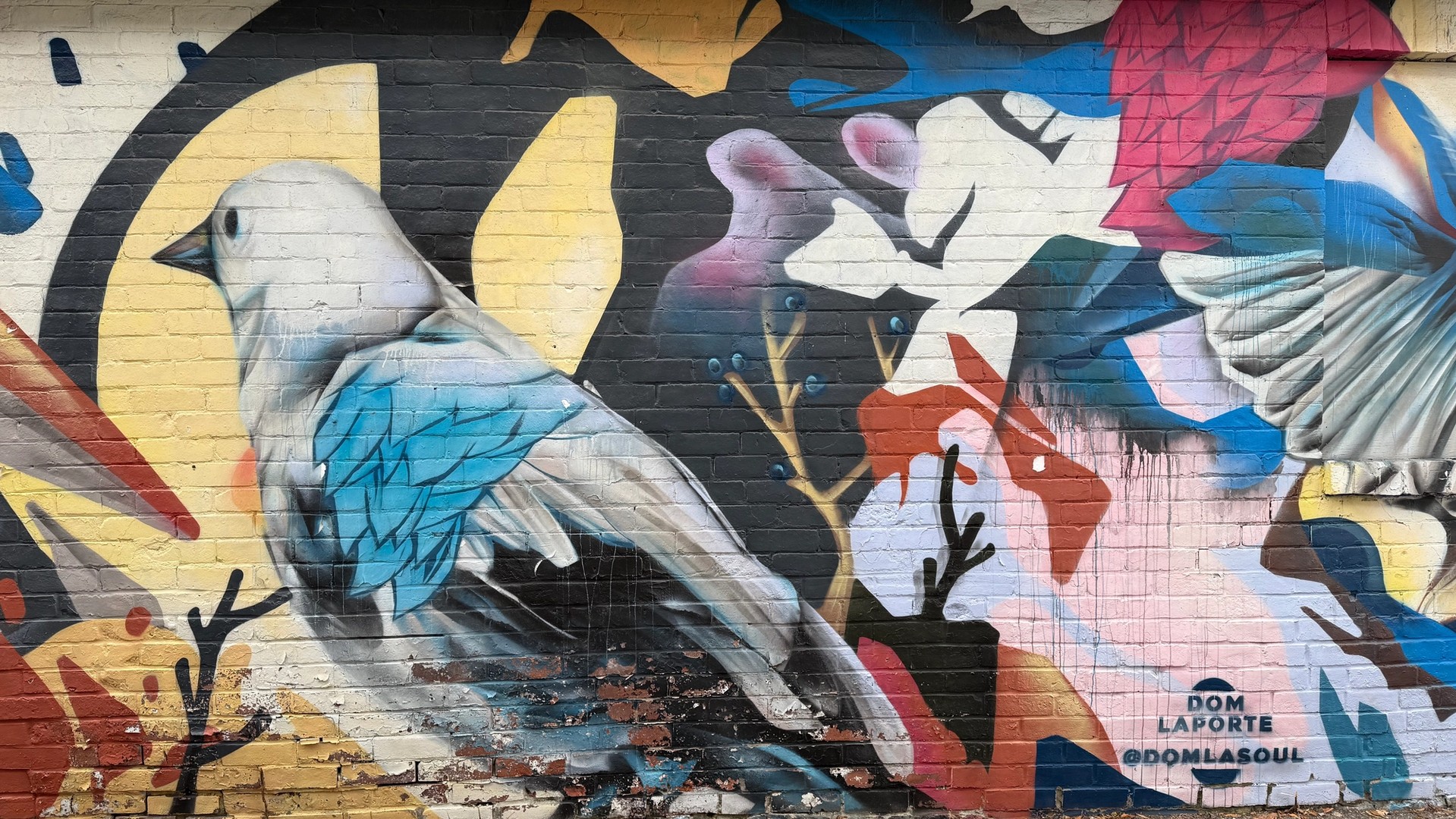 Nature entrelacée mural in The Glebe by Dom Laporte