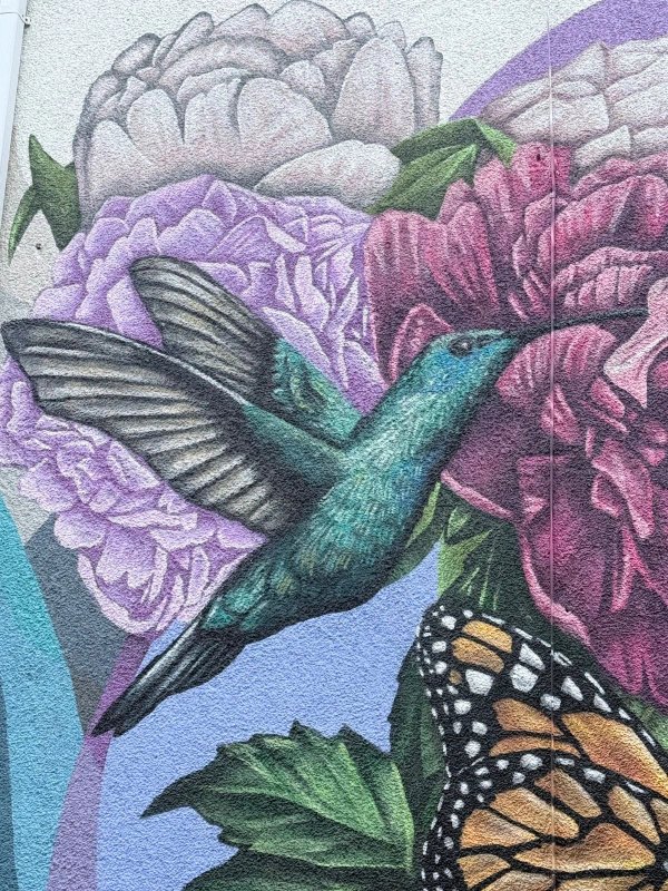 Mural artwork by Ryan Smeeton - Street art in Centretown West, Ottawa, Ontario