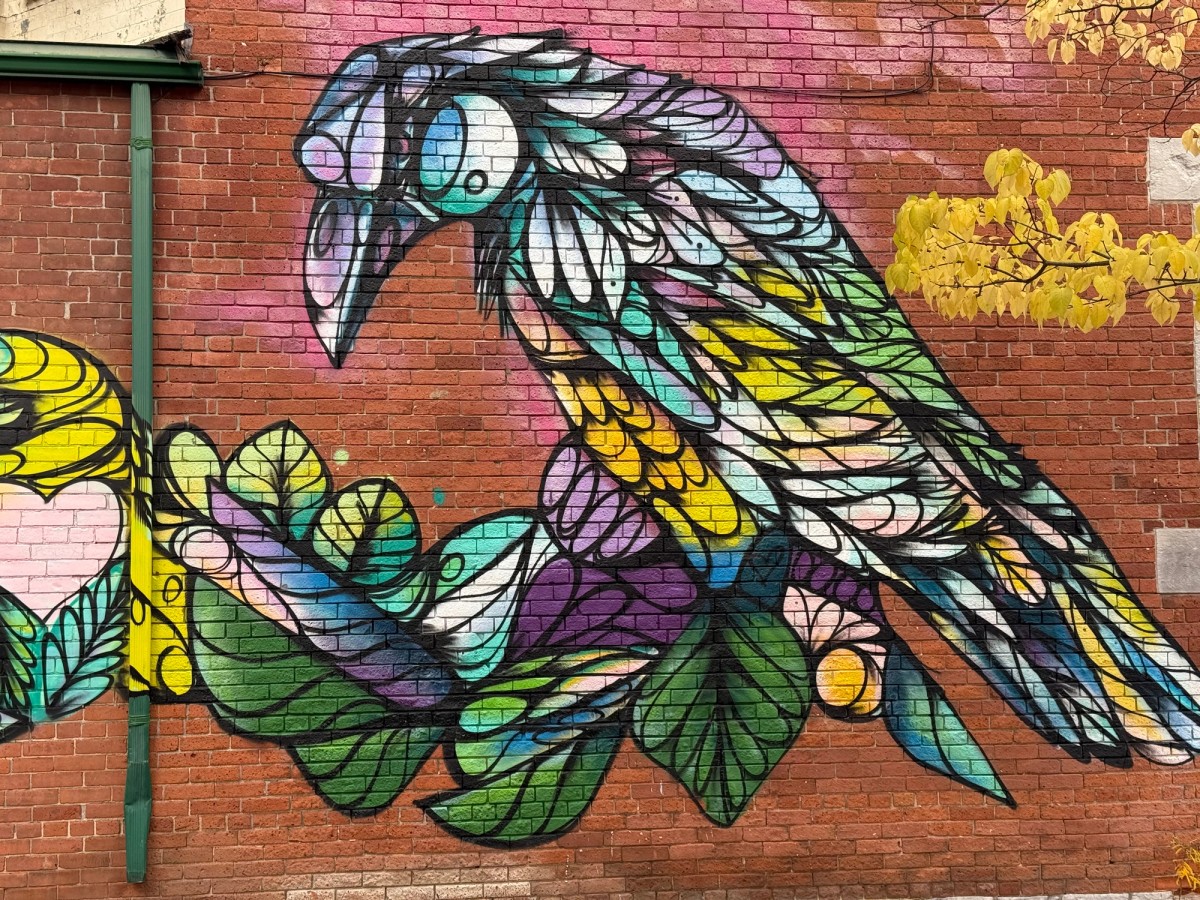 Colorful graffiti mural 'The Start of a Fable' by Mique Michelle featuring ravens and neon colors on Bank Street.