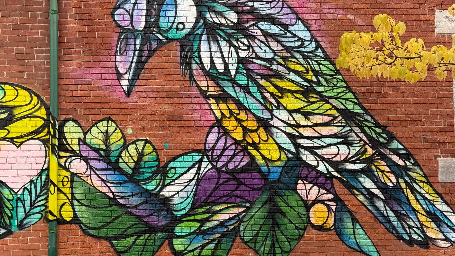 Le début d'une fable mural in The Glebe by Mique Michelle