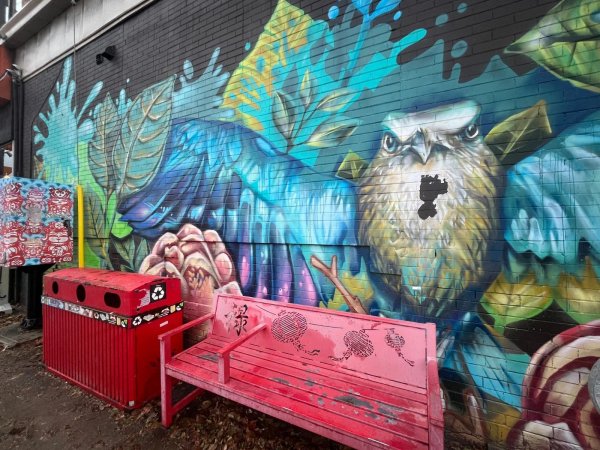 Untitled Submission - Mural in Centretown, Ontario