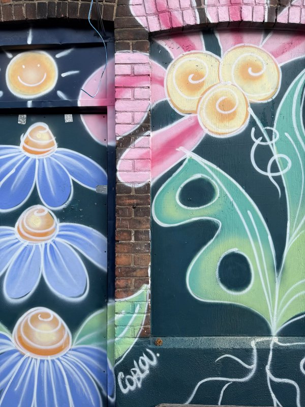 Inconnu street art mural photo 1