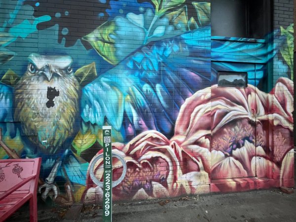 Untitled Submission - Mural in Centretown, Ontario