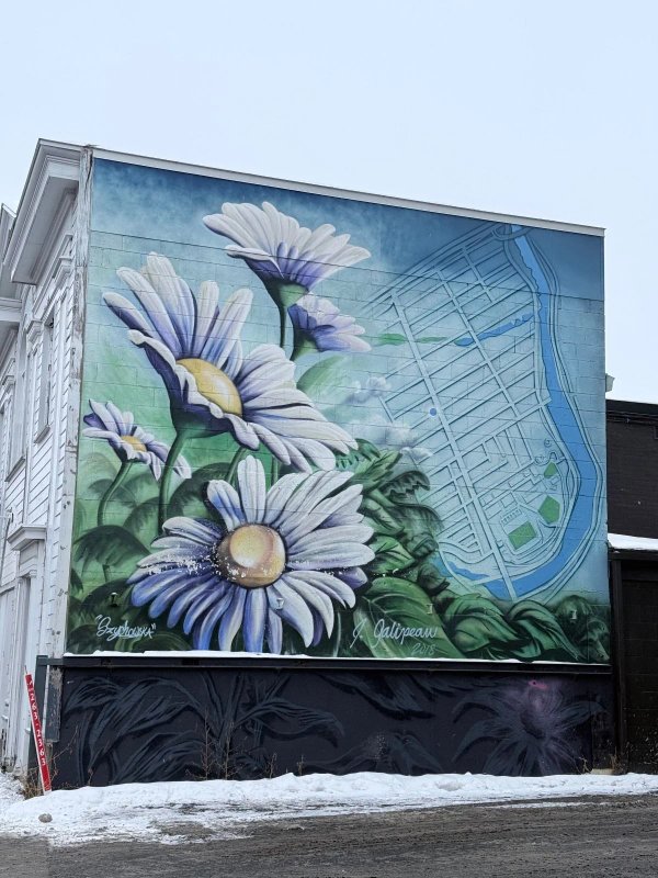 Public street art in The Glebe, Ottawa, depicting a detailed street map of the community bordered by the Rideau Canal and lush green foliage.
